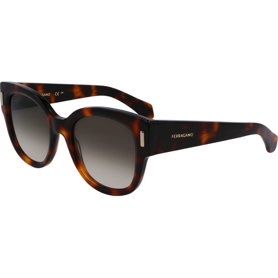 FERRAGAMO Sunglasses Women (Lens/Bridge/Temple) 51/20/140 mm) - (SF2007S-240)