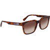 LACOSTE Sunglasses Man (Lens/Bridge/Temple) 54/19/145 mm) - (L6028S-214)