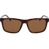 LACOSTE Sunglasses Man (Lens/Bridge/Temple) 56/17/145 mm) - (L6025S-219)