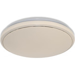 Osram Ceiling Light Led Ceiling SKYNE, 48W, 5280 lm,Light Neutral(4000K), IP20, O49cm, metal/plastic