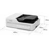 Epson Workforce DS-1730 Desktop A4 SCANNER, Tip Flatbed, Resolution 1.200 Dpi x 1.200 DPI, Adf 600 Dpi x 600 DPI