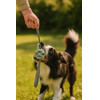 ZOLUX Ball Tpr Outdoor Blue - Dog toy