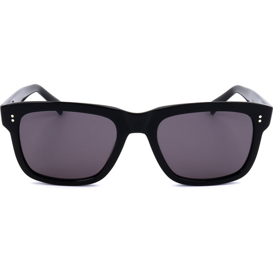 Webee Sunglasses 1 (54/20/150) - (ROBINIA)