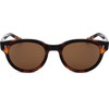 Webee Sunglasses 2 (49/21/150) - (CHESTNUT)