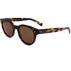 Webee Sunglasses 2 (49/21/150) - (CHESTNUT)