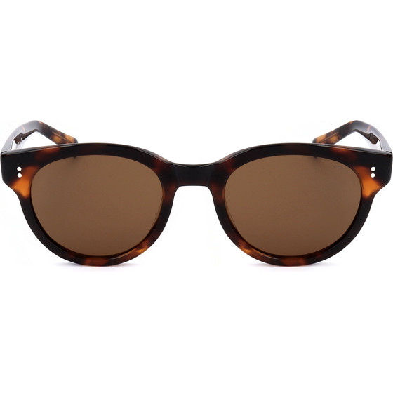 Webee Sunglasses 2 (49/21/150) - (CHESTNUT)