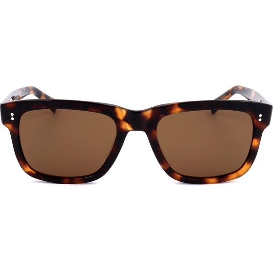 Webee Sunglasses 2 (54/20/150) - (ROBINIA)