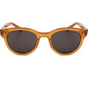 Webee Sunglasses 3 (49/21/150) - (CHESTNUT)