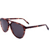 HACKETT Sunglasses 123 (57/14/145) - (HSK3338)