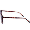 HACKETT Sunglasses 123 (57/14/145) - (HSK3338)