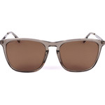HACKETT Sunglasses 560P (55/17/150) - (HSK3351)
