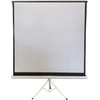 Conceptum ����� TP170 (170X170) 1:1 Tripod Screen + ���� ��������� - (5200250817303)