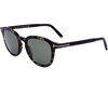 Tom Ford Sunglasses 52N (51/21/145) - (FT0816)