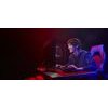 Kingston Technology Fury Beast 32GB 5600MT/s DDR5 CL40 Dimm Black - (KF556C40BB2-32)