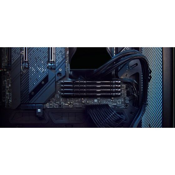 Kingston Technology Fury Beast 32GB 5600MT/s DDR5 CL40 Dimm Black - (KF556C40BB2-32)