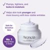 Arencia Artisan's Hyssop Blurring Cream - ����� ������������ & �������� ���� - (ARE-21)