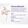 KUNDAL Honey & Macadamia Protein Treatment Cherry Blossom - �������� �������� ������ & ����������� ������� - (KUN-14)