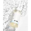 Round Lab 1025 Dokdo Cleansing Oil - (RL-01)