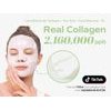 Sungboon Editor Deep Collagen Cica Teatree Soothing Mask - Gel ����� ��� ����������� ��� ����������� - (SEDI-04)