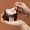 SKIN1004 Madagascar Centella Probio-Cica Enrich Cream - (SKIN-10)